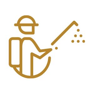 Chevrolet - Protocolo