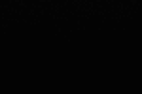 ORO NEGRO