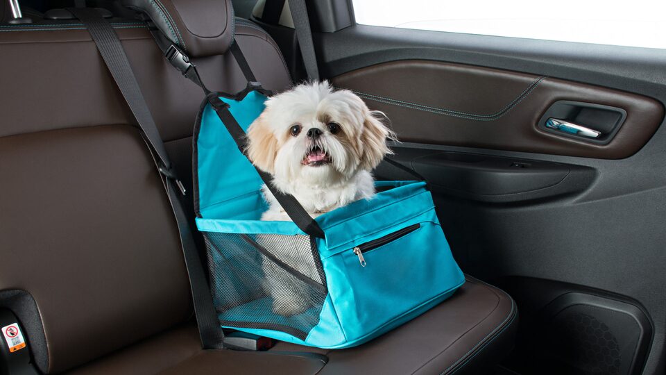 Bolso para asiento para mascotas