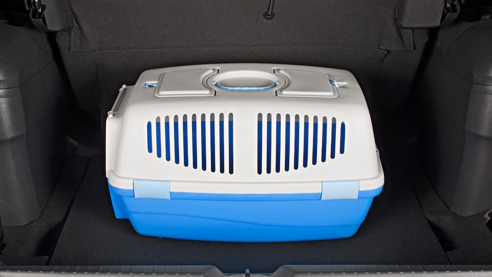 Caja de transporte para mascotas pequeñas